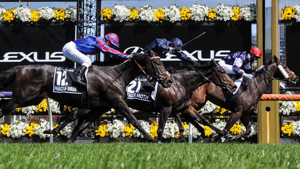Melbourne Cup 2020 Review - Twilight Payment wins from Tiger Moth and Prince of Arran